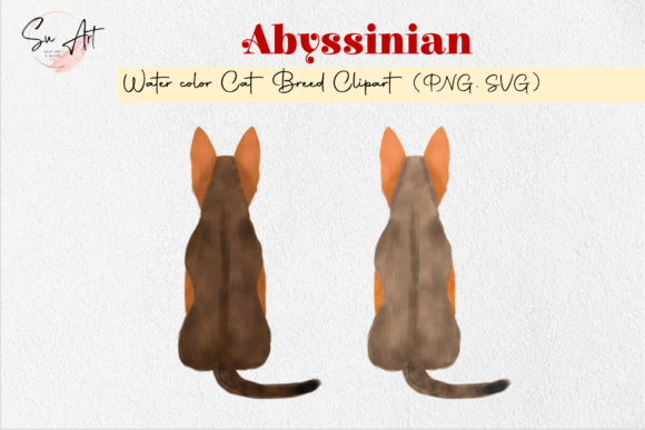 Abyssinian Cat Breed Watercolor Illustrations