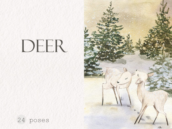 Deer. Watercolor Backgrounds and Illustrations