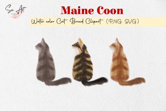 Main Coon Cat Breed Watercolor Illustrations