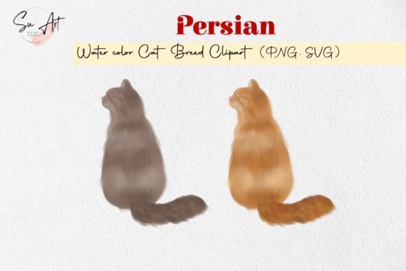 Persian Cat Breed Watercolor Illustrations