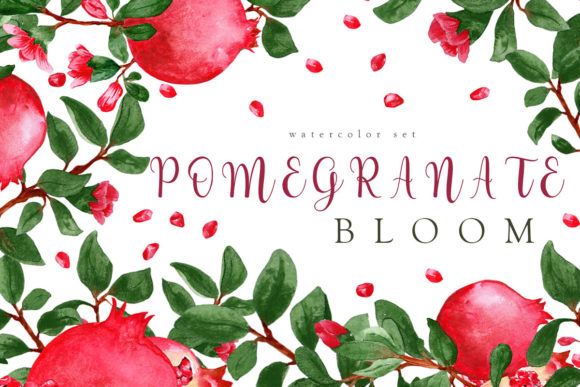 Pomegranate Bloom Watercolor Set