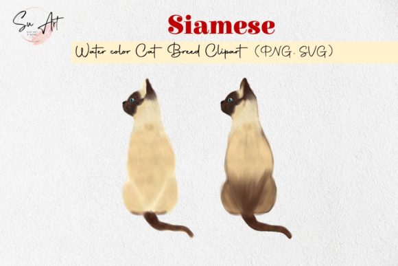 Siamese Cat Breed Watercolor Illustrations