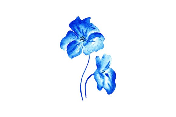 Watercolor Blue Flower Illustrations