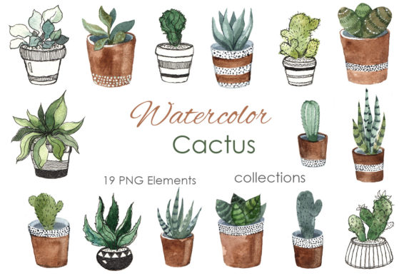 Watercolor Clipart. Cactus Tropical Png