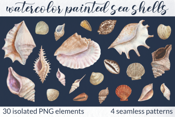 Watercolor Collection of Sea Shells and Illustrations