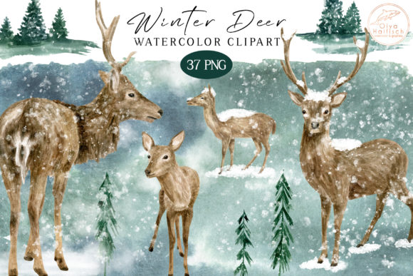 Watercolor Deer PNG. Winter Woodland Illustrations