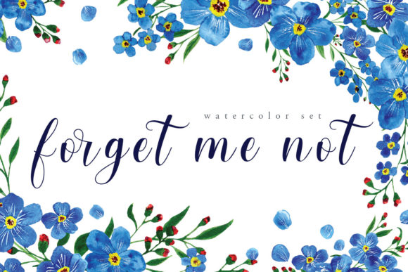 Watercolor Floral Set forgetmenot Illustrations