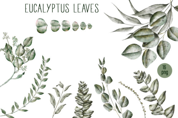 Watercolor Greenery Eucalyptus Clipart