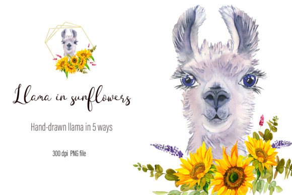 Watercolor Llama Clipart - Sublimation Illustrations