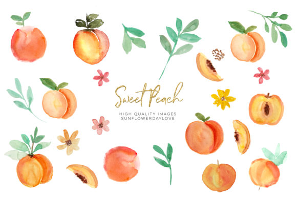 Watercolor Peach Clipart, Peach Fruit
