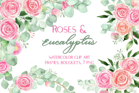 Watercolor Roses and Eucalyptus Clipart and Illustrations