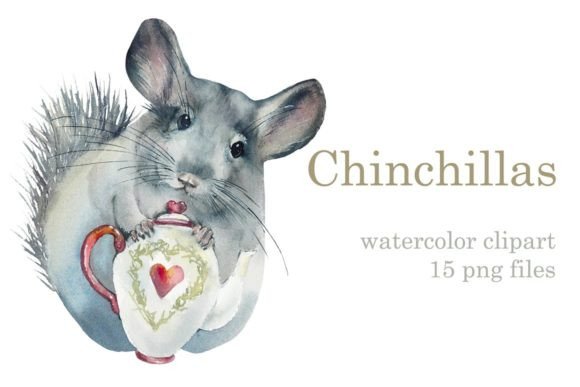 Watercolor Set Chichillas Illustrations