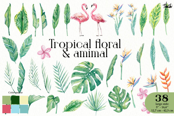 Watercolor Tropical Floral Animal Png and Illustrations