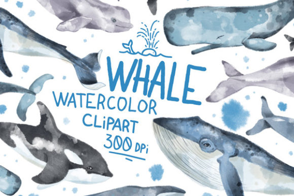 Watercolor Whale Clipart and Illustrations
