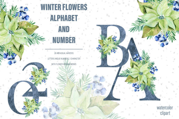 Watercolor Winter Floral Alphabet Png Illustrations
